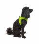 Tailpetz Air-mesh Harness Köpek Göğüs Tasması - Neon Lime XS Tailpetz Air-mesh Harness Köpek Göğüs Tasması - Neon Lime XS