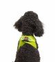 Tailpetz Air-mesh Harness Köpek Göğüs Tasması - Neon Lime XS Tailpetz Air-mesh Harness Köpek Göğüs Tasması - Neon Lime XS