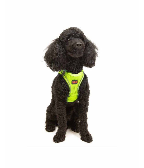 Tailpetz Air-mesh Harness Köpek Göğüs Tasması - Neon Lime XS Tailpetz Air-mesh Harness Köpek Göğüs Tasması - Neon Lime XS