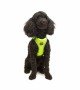 Tailpetz Air-mesh Harness Köpek Göğüs Tasması - Neon Lime XS Tailpetz Air-mesh Harness Köpek Göğüs Tasması - Neon Lime XS