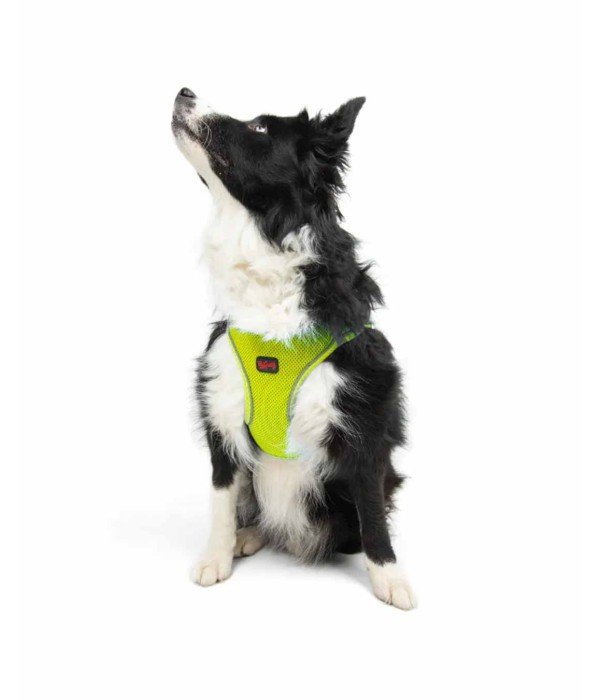 Tailpetz Air-mesh Harness Köpek Göğüs Tasması - Neon Lime XL Tailpetz Air-mesh Harness Köpek Göğüs Tasması - Neon Lime XL