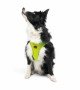 Tailpetz Air-mesh Harness Köpek Göğüs Tasması - Neon Lime XL Tailpetz Air-mesh Harness Köpek Göğüs Tasması - Neon Lime XL