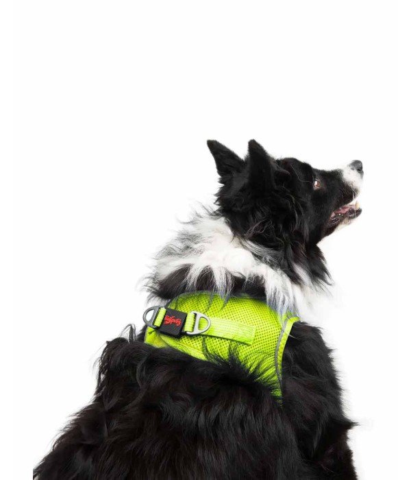 Tailpetz Air-mesh Harness Köpek Göğüs Tasması - Neon Lime XL Tailpetz Air-mesh Harness Köpek Göğüs Tasması - Neon Lime XL