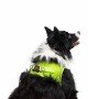 Tailpetz Air-mesh Harness Köpek Göğüs Tasması - Neon Lime XL Tailpetz Air-mesh Harness Köpek Göğüs Tasması - Neon Lime XL