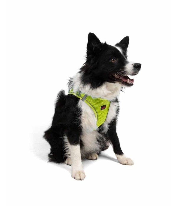 Tailpetz Air-mesh Harness Köpek Göğüs Tasması - Neon Lime XL