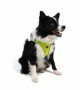 Tailpetz Air-mesh Harness Köpek Göğüs Tasması - Neon Lime XL Tailpetz Air-mesh Harness Köpek Göğüs Tasması - Neon Lime XL