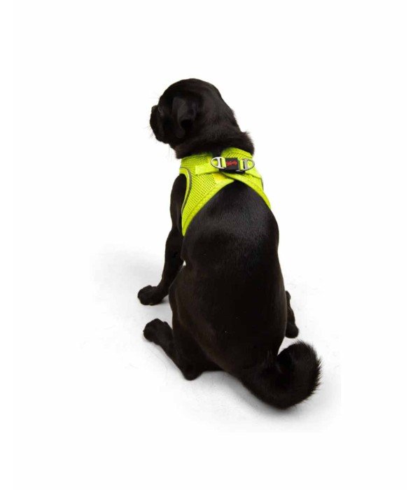 Tailpetz Air-mesh Harness Köpek Göğüs Tasması - Neon Lime M