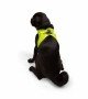 Tailpetz Air-mesh Harness Köpek Göğüs Tasması - Neon Lime M