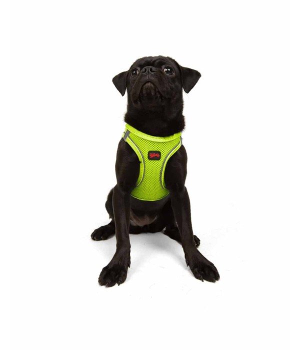 Tailpetz Air-mesh Harness Köpek Göğüs Tasması - Neon Lime M