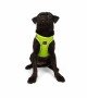 Tailpetz Air-mesh Harness Köpek Göğüs Tasması - Neon Lime M