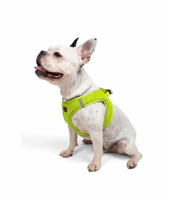 Tailpetz Air-mesh Harness Köpek Göğüs Tasması - Neon Lime L