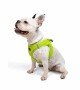 Tailpetz Air-mesh Harness Köpek Göğüs Tasması - Neon Lime L