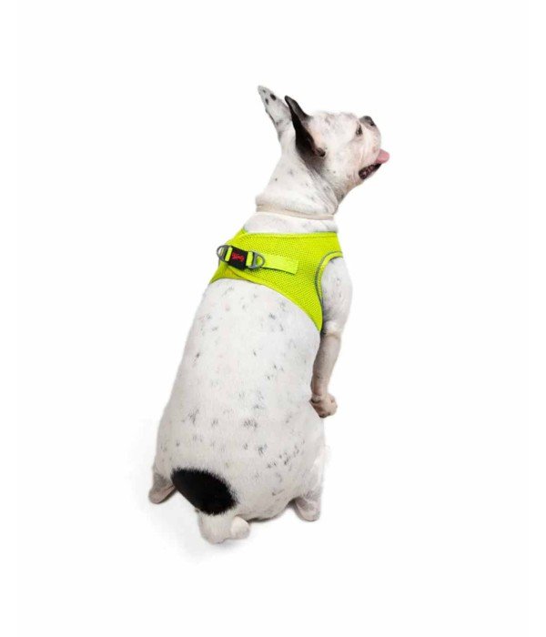 Tailpetz Air-mesh Harness Köpek Göğüs Tasması - Neon Lime L