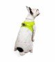 Tailpetz Air-mesh Harness Köpek Göğüs Tasması - Neon Lime L