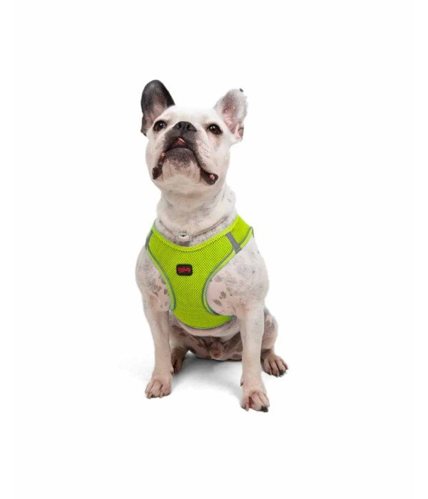 Tailpetz Air-mesh Harness Köpek Göğüs Tasması - Neon Lime L