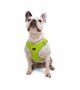 Tailpetz Air-mesh Harness Köpek Göğüs Tasması - Neon Lime L