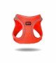 Tailpetz Air-mesh Harness Köpek Göğüs Tasması - Turuncu XL