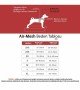 Tailpetz Air-mesh Harness Köpek Göğüs Tasması - Turuncu XL