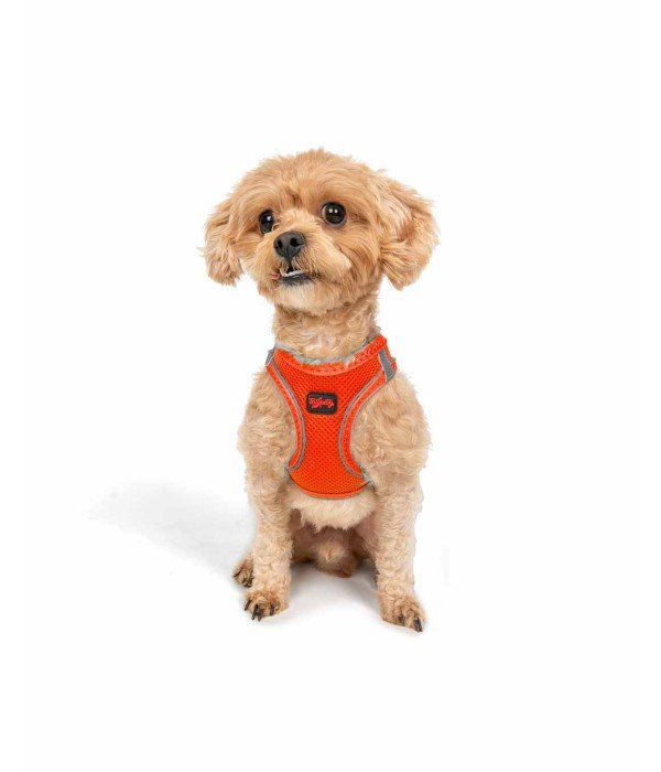 Tailpetz Air-mesh Harness Köpek Göğüs Tasması - Turuncu XS