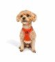 Tailpetz Air-mesh Harness Köpek Göğüs Tasması - Turuncu XS