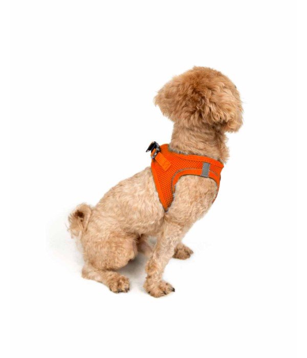 Tailpetz Air-mesh Harness Köpek Göğüs Tasması - Turuncu XS