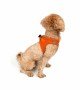 Tailpetz Air-mesh Harness Köpek Göğüs Tasması - Turuncu XS