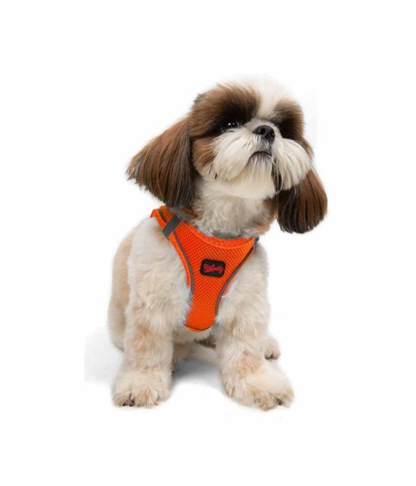 Tailpetz Air-mesh Harness Köpek Göğüs Tasması - Turuncu S