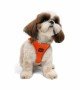 Tailpetz Air-mesh Harness Köpek Göğüs Tasması - Turuncu S
