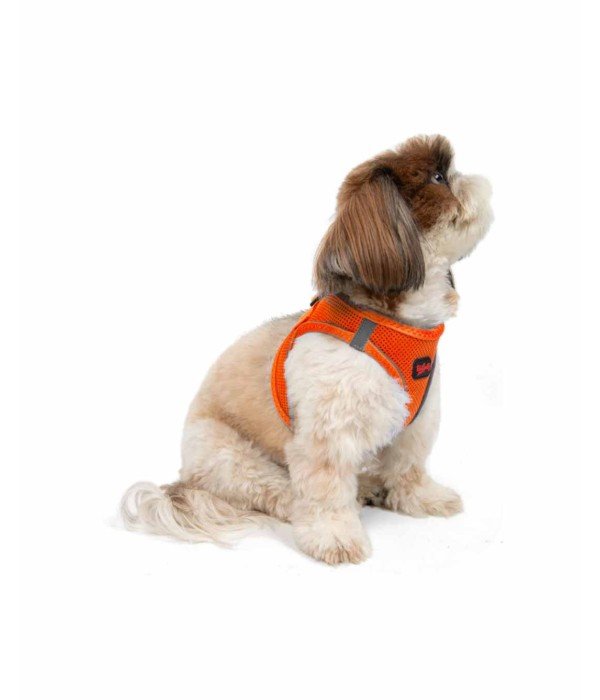 Tailpetz Air-mesh Harness Köpek Göğüs Tasması - Turuncu S