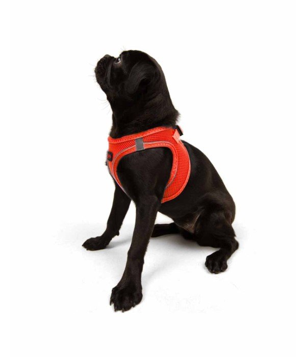 Tailpetz Air-mesh Harness Köpek Göğüs Tasması - Turuncu M