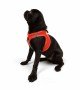 Tailpetz Air-mesh Harness Köpek Göğüs Tasması - Turuncu M