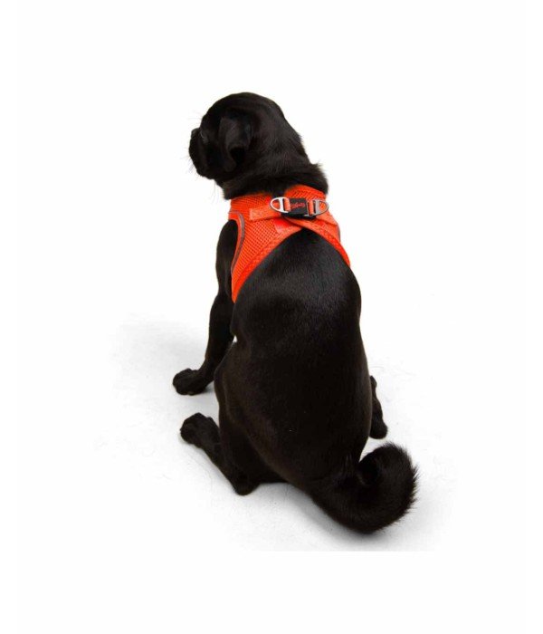 Tailpetz Air-mesh Harness Köpek Göğüs Tasması - Turuncu M