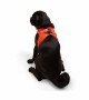 Tailpetz Air-mesh Harness Köpek Göğüs Tasması - Turuncu M