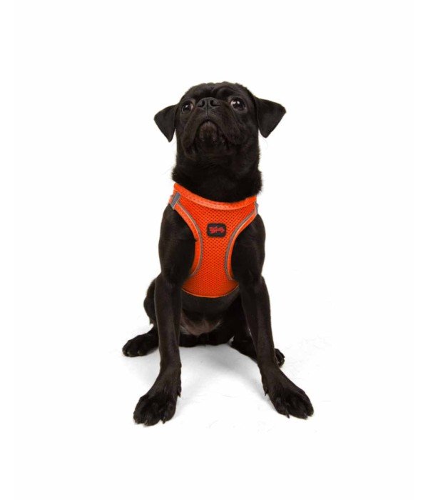 Tailpetz Air-mesh Harness Köpek Göğüs Tasması - Turuncu M