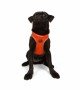 Tailpetz Air-mesh Harness Köpek Göğüs Tasması - Turuncu M