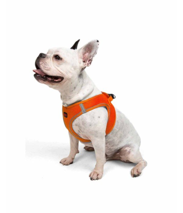 Tailpetz Air-mesh Harness Köpek Göğüs Tasması - Turuncu L