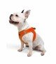 Tailpetz Air-mesh Harness Köpek Göğüs Tasması - Turuncu L