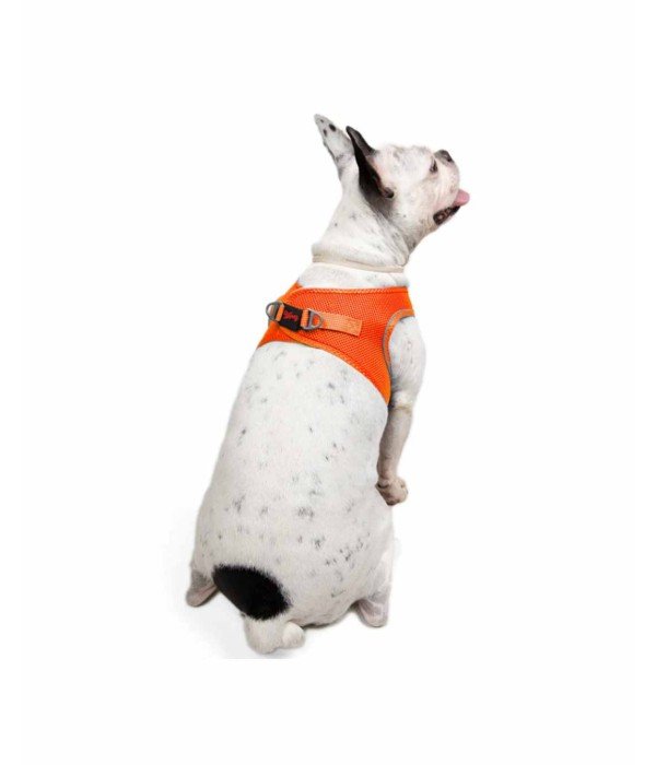 Tailpetz Air-mesh Harness Köpek Göğüs Tasması - Turuncu L
