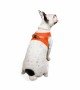 Tailpetz Air-mesh Harness Köpek Göğüs Tasması - Turuncu L