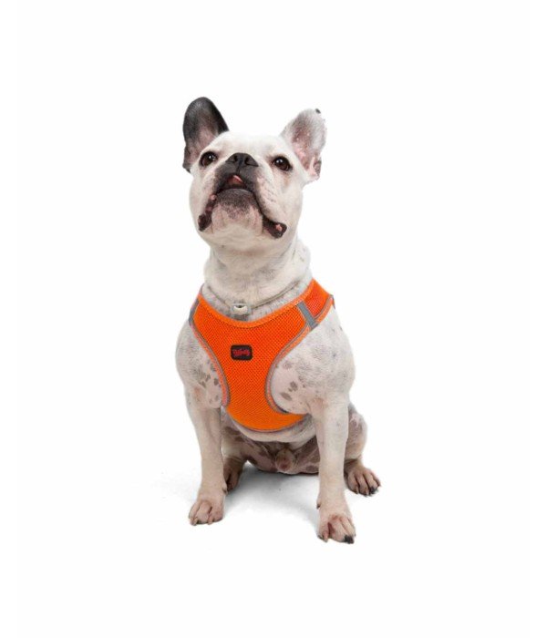 Tailpetz Air-mesh Harness Köpek Göğüs Tasması - Turuncu L