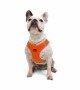 Tailpetz Air-mesh Harness Köpek Göğüs Tasması - Turuncu L