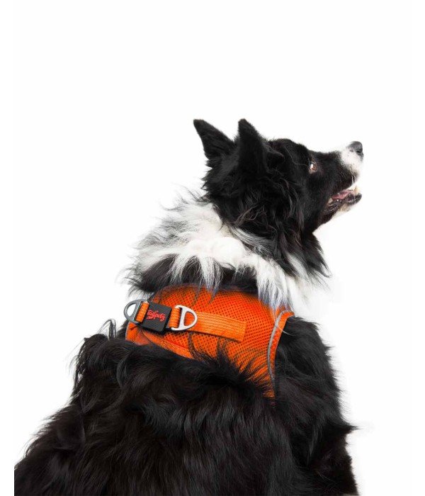 Tailpetz Air-mesh Harness Köpek Göğüs Tasması - Turuncu XL