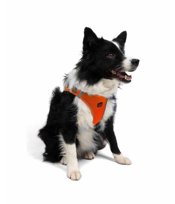 Tailpetz Air-mesh Harness Köpek Göğüs Tasması - Turuncu XL