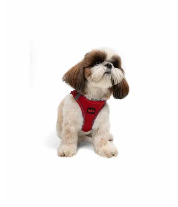 Tailpetz Air-mesh Harness Köpek Göğüs Tasması - Kırmızı XS