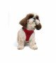 Tailpetz Air-mesh Harness Köpek Göğüs Tasması - Kırmızı XS