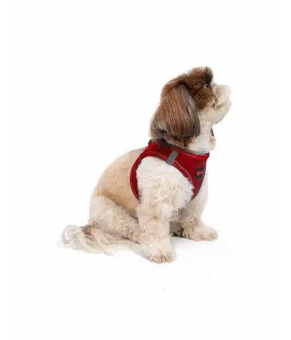 Tailpetz Air-mesh Harness Köpek Göğüs Tasması - Kırmızı XS