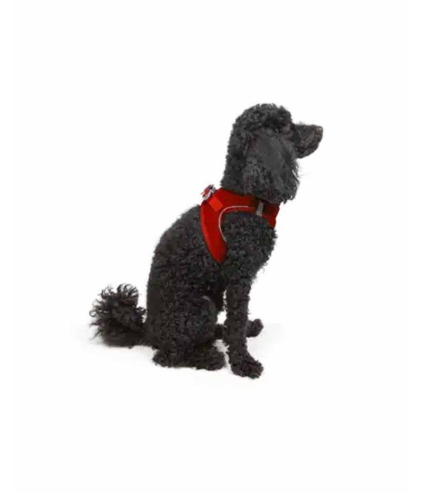 Tailpetz Air-mesh Harness Köpek Göğüs Tasması - Kırmızı S