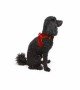 Tailpetz Air-mesh Harness Köpek Göğüs Tasması - Kırmızı S