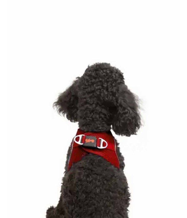 Tailpetz Air-mesh Harness Köpek Göğüs Tasması - Kırmızı S