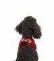 Tailpetz Air-mesh Harness Köpek Göğüs Tasması - Kırmızı S